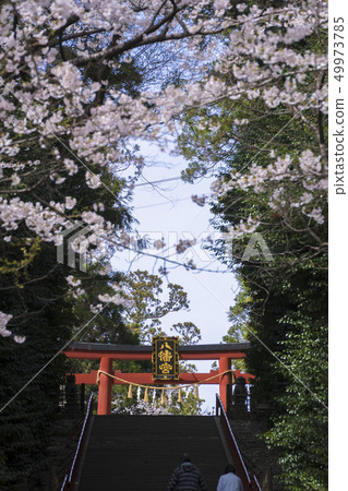 Osaki Hachiman Shrine stone steps 006 Osaki Hachiman Shrine stone steps 006 49973785