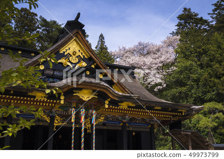 Osaki Hachiman Shrine main hall 009 49973799