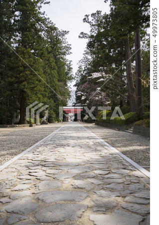 Osaki Hachiman Shrine approach 005 Osaki Hachiman Shrine approach 005 49973805