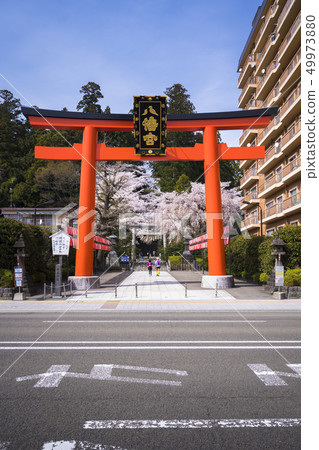 在大崎八幡宮的鳥居003 在大崎八幡宮的鳥居003 49973880