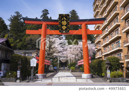 Osaki Hachimangu Shrine Torii 004 49973881