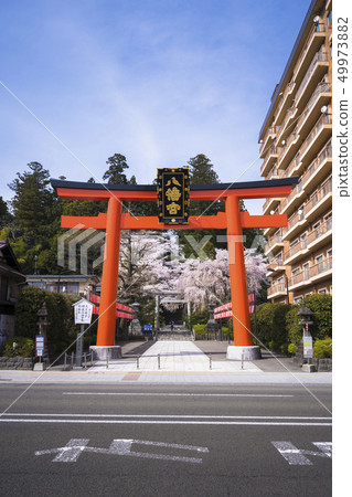 Torii 005 of Osaki Hachimangu Shrine 49973882