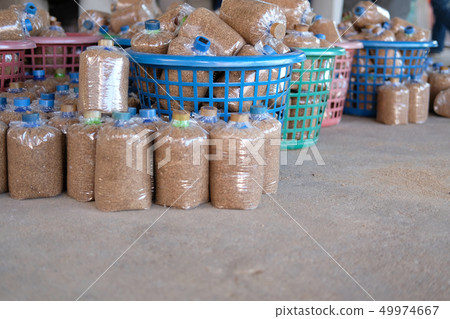 artificial substrate in bag for growing mushroom in farm artificial substrate in bag for growing mushroom in farm 49974667