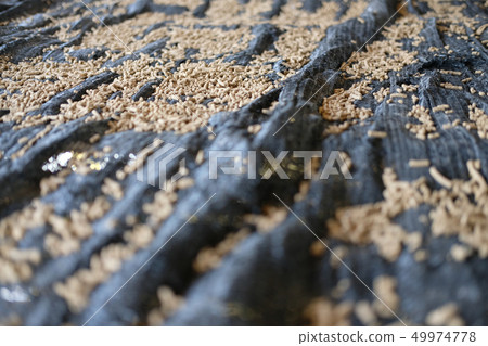 animal feed. mixed fodder pellet for fish 49974778