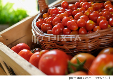 tomato in wooden box. fresh vegetable tomato in wooden box. fresh vegetable 49974801