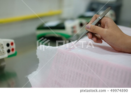 measuring rice grain seed length in lab measuring rice grain seed length in lab 49974890