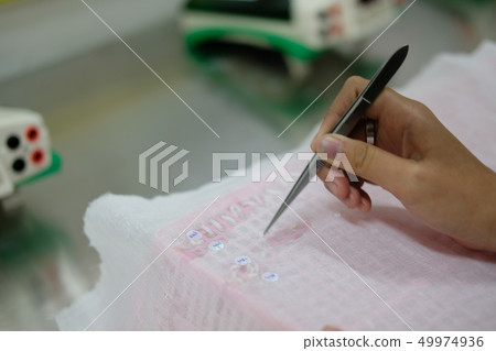 measuring rice grain seed length in lab 49974936