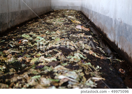 earthworm for producing manure compost fertilizer vermicompost earthworm for producing manure compost fertilizer vermicompost 49975096