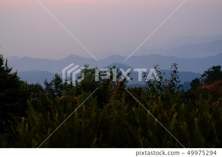 forest mountain landscape view at dusk forest mountain landscape view at dusk 49975294