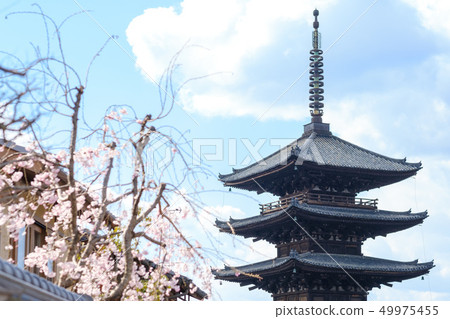 Yasaka Tower京都祗園 49975455