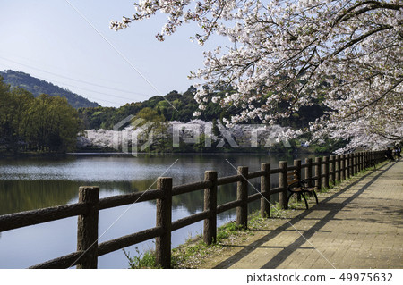  公園 49975632