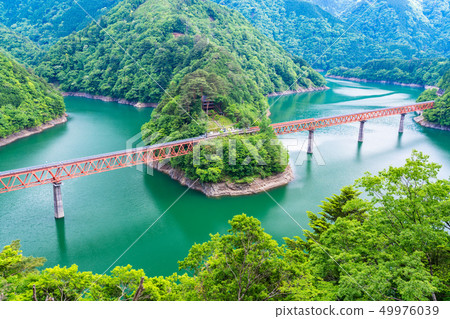 [Shizuoka] Okuoi Lake Station and train in early summer 49976039