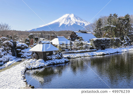 [山梨縣]冬天的忍野八海 49976239