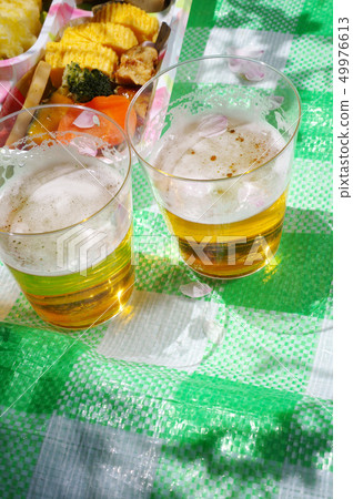 Hanami with beer 49976613