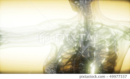 X-Ray Image Of Human Body X-Ray Image Of Human Body 49977337