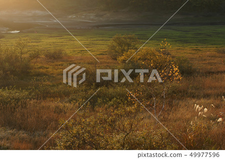 Tottori Walking in the Four Seasons Fall in the Ebara Plateau Tottori Walking in the Four Seasons Fall in the Ebara Plateau 49977596