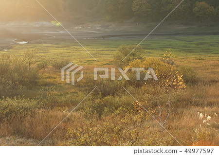 Tottori Walking in the Four Seasons Fall in the Ebara Plateau Tottori Walking in the Four Seasons Fall in the Ebara Plateau 49977597