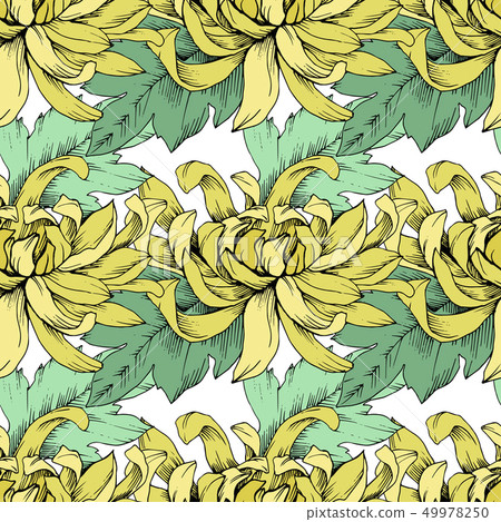 Vector Chrysanthemum floral botanical flowers. Engraved ink art. Seamless background pattern. 49978250