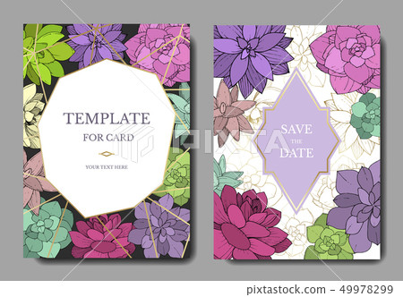 Vector Succulents floral botanical flower. Engraved ink art. Wedding background card floral 49978299