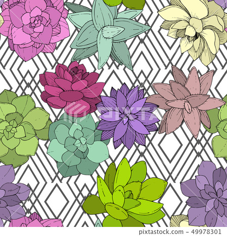 Vector Succulents floral botanical flower. Engraved ink art. Seamless background pattern. 49978301