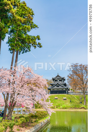 Spring in Japan Joetsu City, Niigata Prefecture Takada Castle Triple Tower and Cherry Trees 49978786