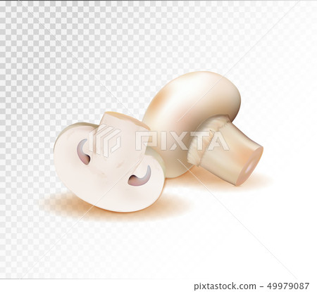 champignon mushrooms isolated on white background. Quality realistic vector, 3d champignon mushrooms isolated on white background. Quality realistic vector, 3d 49979087