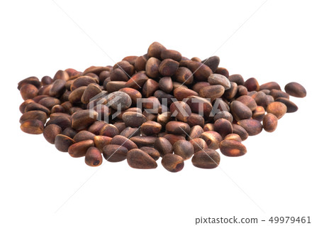 cedar nut 49979461
