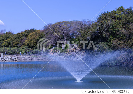 兵庫縣明石市。明石公園。明石城遺址的護城河。 兵庫縣明石市。明石公園。明石城遺址的護城河。 49980232