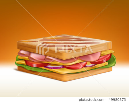 Sandwich with meat, cheese and vegetables vector 49980873