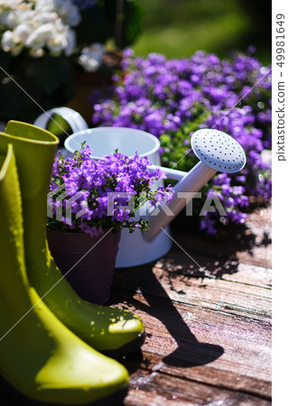 Gardening tools and spring flowers on the terrace Gardening tools and spring flowers on the terrace 49981649