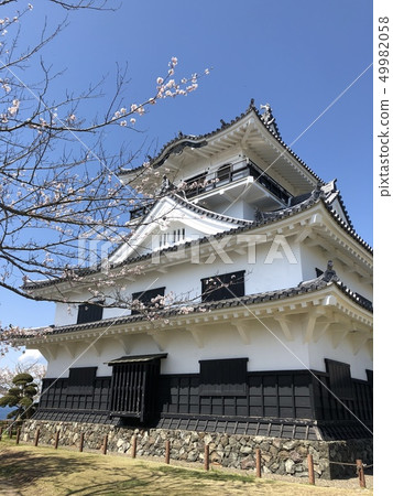 櫻花和城堡〜日本精神〜 櫻花和城堡〜日本精神〜 49982058