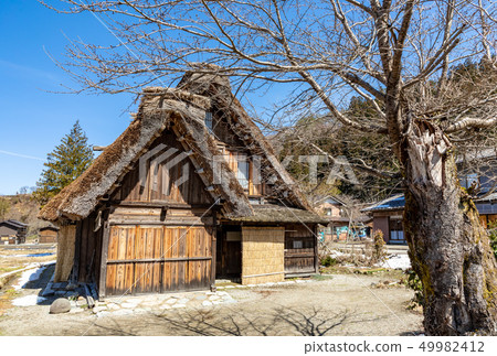 老木頭和茅草屋頂Shirakawago 老木頭和茅草屋頂Shirakawago 49982412