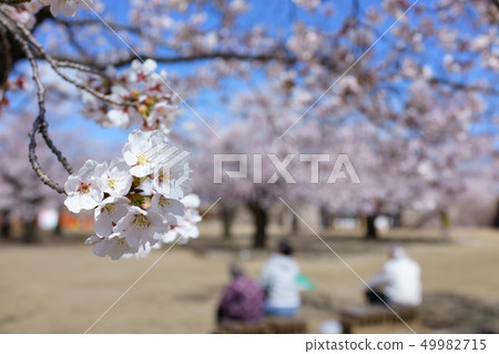 松下城遺址:本丸之佐:長野市花之內町 松下城遺址:本丸之佐:長野市花之內町 49982715