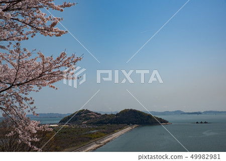 Aosa Yamadaiba trace-spring- Aosa Yamadaiba trace-spring- 49982981