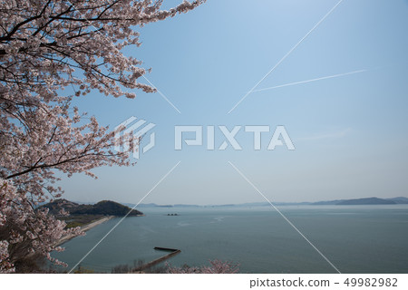 Aosa Yamadaiba trace-spring- Aosa Yamadaiba trace-spring- 49982982