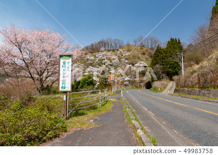 Cherry tree in a tunnel tunnel 49983758