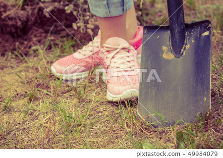 Woman digging hole in garden Woman digging hole in garden 49984079