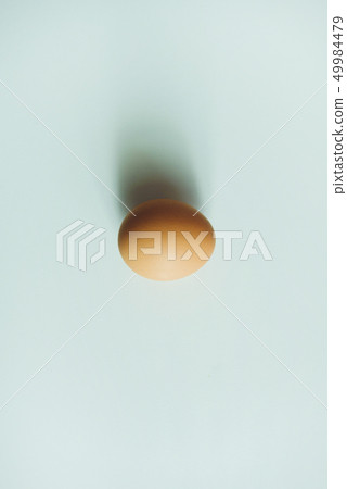Raw single egg isolated on white background 49984479