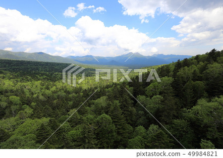 春天的北海道上士幌三國嶺 春天的北海道上士幌三國嶺 49984821