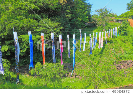 茅崎里山公園的鯉魚旗 49984872