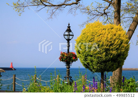 Landscape with a round tree Landscape with a round tree 49985512