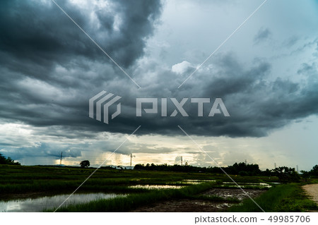 Storm clouds with the rain 49985706