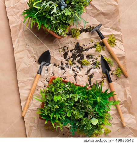 Plants transplantation. Gardening tools on craft paper Plants transplantation. Gardening tools on craft paper 49986548