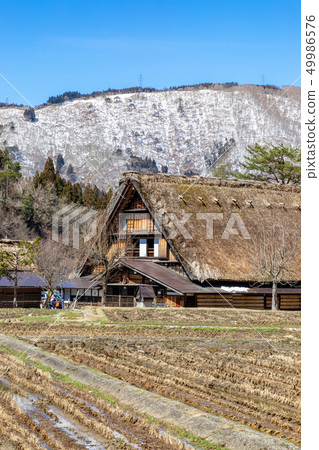 白雪皚皚的山脈和世界遺產白川鄉的城市景觀 白雪皚皚的山脈和世界遺產白川鄉的城市景觀 49986576