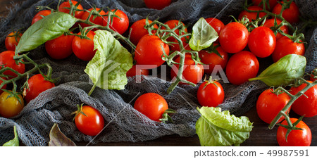 Cherry tomatoes and basil Cherry tomatoes and basil 49987591