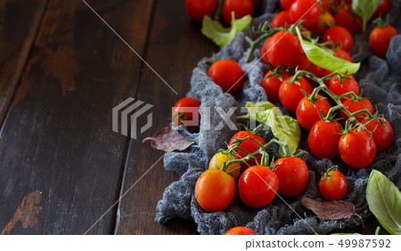 Cherry tomatoes and basil 49987592