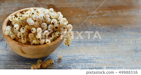 Ripe white currant berries Ripe white currant berries 49988316