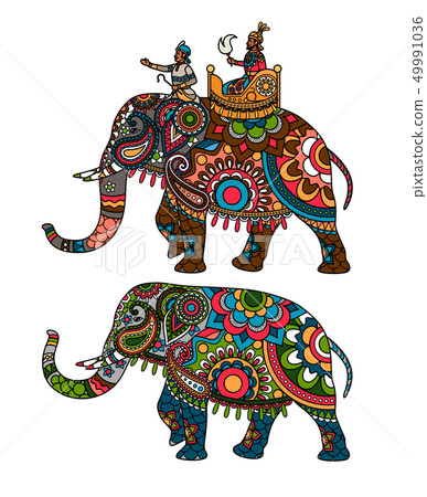 Indian elephant Indian elephant 49991036