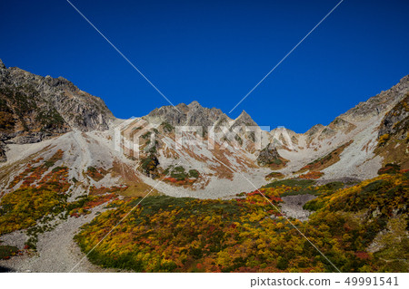 “長野縣Kakizawa捲曲”秋葉的Kakizawa捲曲 49991541