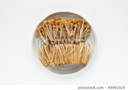 基礎茶enoki 基礎茶enoki 49992029